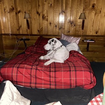 The Idyllwild Bunkhouse - Our Great Dane loved the Bunkhouse! - Hotels Near Me - Idyllwild, California The Idyllwild Bunkhouse - Our Great Dane loved the Bunkhouse! - Hotels Near Me - Idyllwild, California