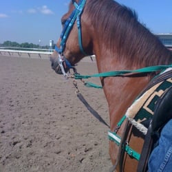 Aqueduct Racetrack