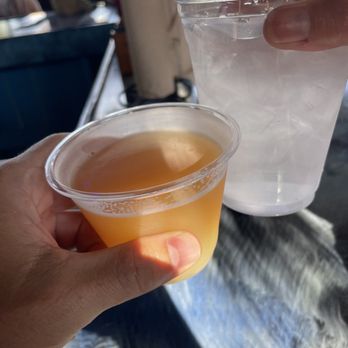 Fatty's Fish Shack - Escape Double IPA (and a wata) - Seafood Near Me - Palm Harbor, Florida