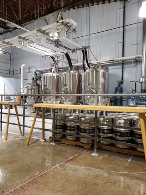 Giant Jones Brewing by null