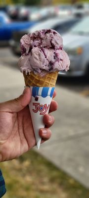 Ferdinand's Ice Cream Shoppe by null