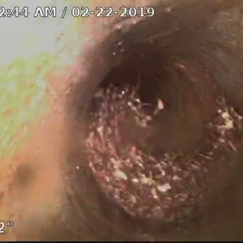 Rooter Man - Four weeks after paying them to hydrojet. - Plumbing Near Me - Sun Valley, California Rooter Man - Four weeks after paying them to hydrojet. - Plumbing Near Me - Sun Valley, California