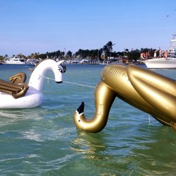 Swan and unicorn! (Though in hindsight, maybe dragon?) Swan and unicorn! (Though in hindsight, maybe dragon?)