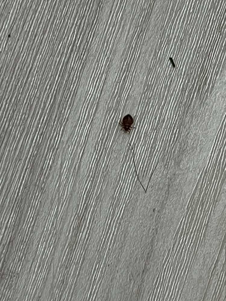 MERRIAM GATEWAY APARTMENTS Updated August 2024 75 Sparta Ave