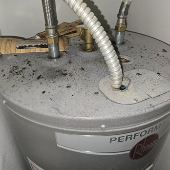 Harbor Oaks Apartments - Roaches on a hot water heater. - Apartments Near Me - Hudson, Florida Harbor Oaks Apartments - Roaches on a hot water heater. - Apartments Near Me - Hudson, Florida