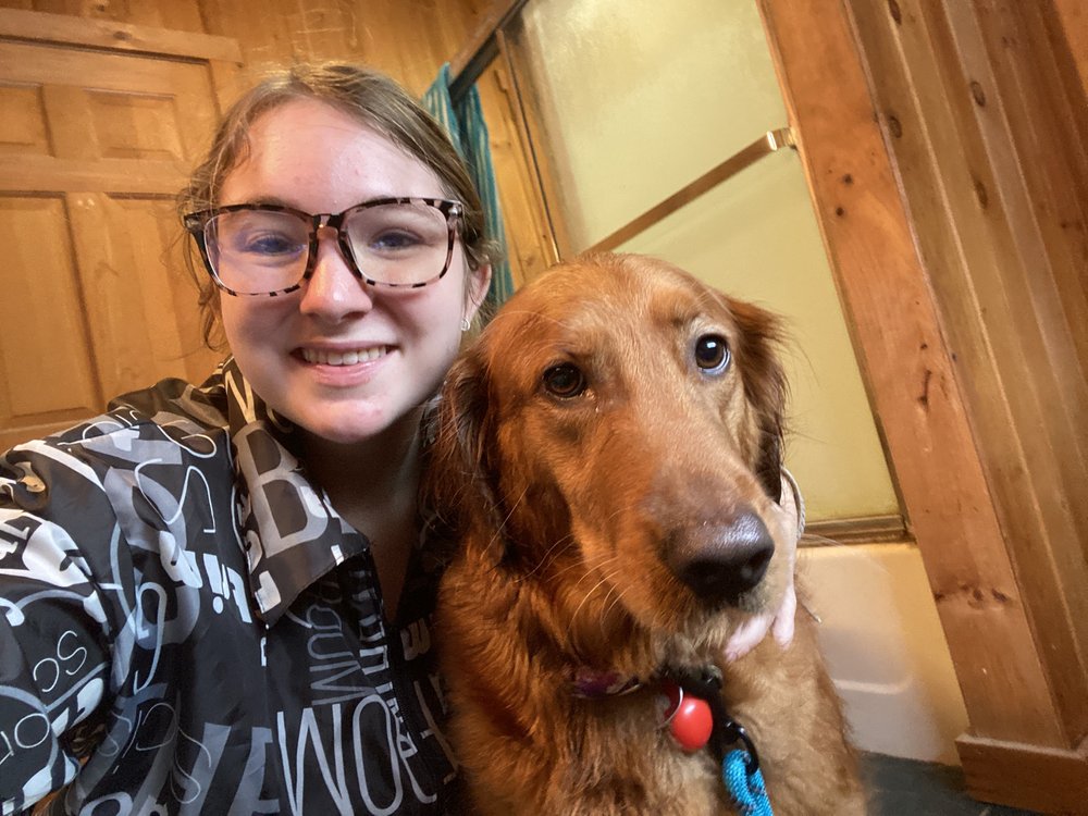 DOGS GALORE GROOMING Updated September 2024 142 Photos 328