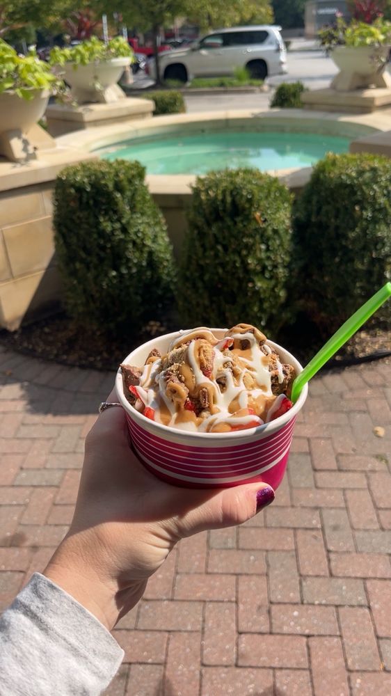 So Fun Yogurt Logo