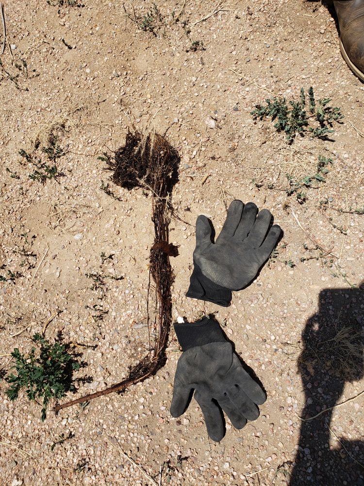 Slide of Triple S Sanitary Sewer Services