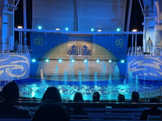 Royal Caribbean by null