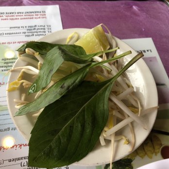 Pho Bac No1 - Thai basil, bean sprouts, lime to add to your soup as desired - Vietnamese Near Me - Verdun, Quebec Pho Bac No1 - Thai basil, bean sprouts, lime to add to your soup as desired - Vietnamese Near Me - Verdun, Quebec