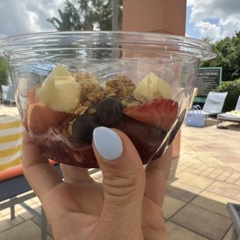 Nature's Table Cafe - "large bowl" - Cafes Near Me - Orlando, Florida