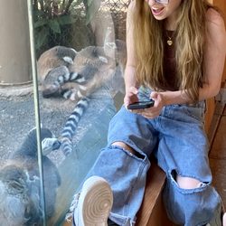 Brandywine Zoo - So many lemurs!