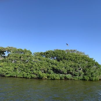 Five O'Clock Charlie Boat Tours - Boat Charters Near Me Five O'Clock Charlie Boat Tours - Boat Charters Near Me