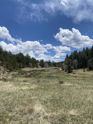 Florissant Fossil Beds National Monument by null