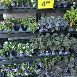 Kroger