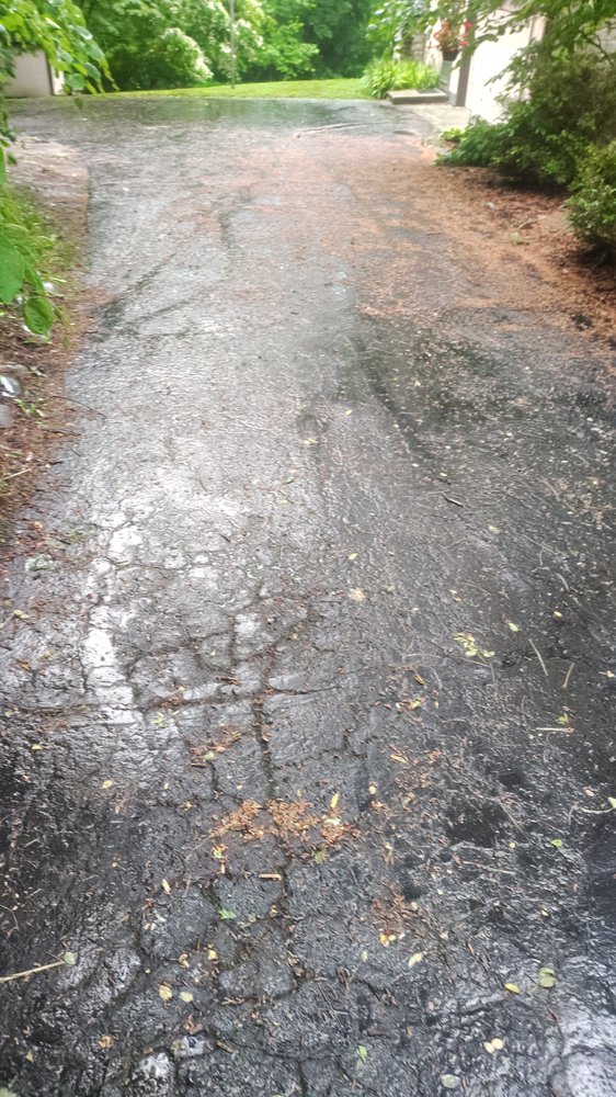 Any Time Lawn Care Services - tree service in Indianapolis, IN