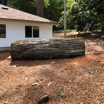 Signature Tree Solutions - Redwood tree section - Tree Services Near Me - St. Helena, California Signature Tree Solutions - Redwood tree section - Tree Services Near Me - St. Helena, California