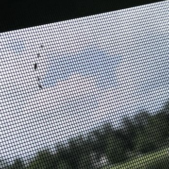 EcoShield Pest Solutions - Pest Control Near Me - Tukwila, Washington EcoShield Pest Solutions - Pest Control Near Me - Tukwila, Washington