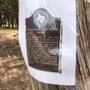 Photo of North Oaks Neighborhood Park
