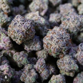 Laughing Grass - Cannabis Dispensaries Near Me - Denver, Colorado Laughing Grass - Cannabis Dispensaries Near Me - Denver, Colorado