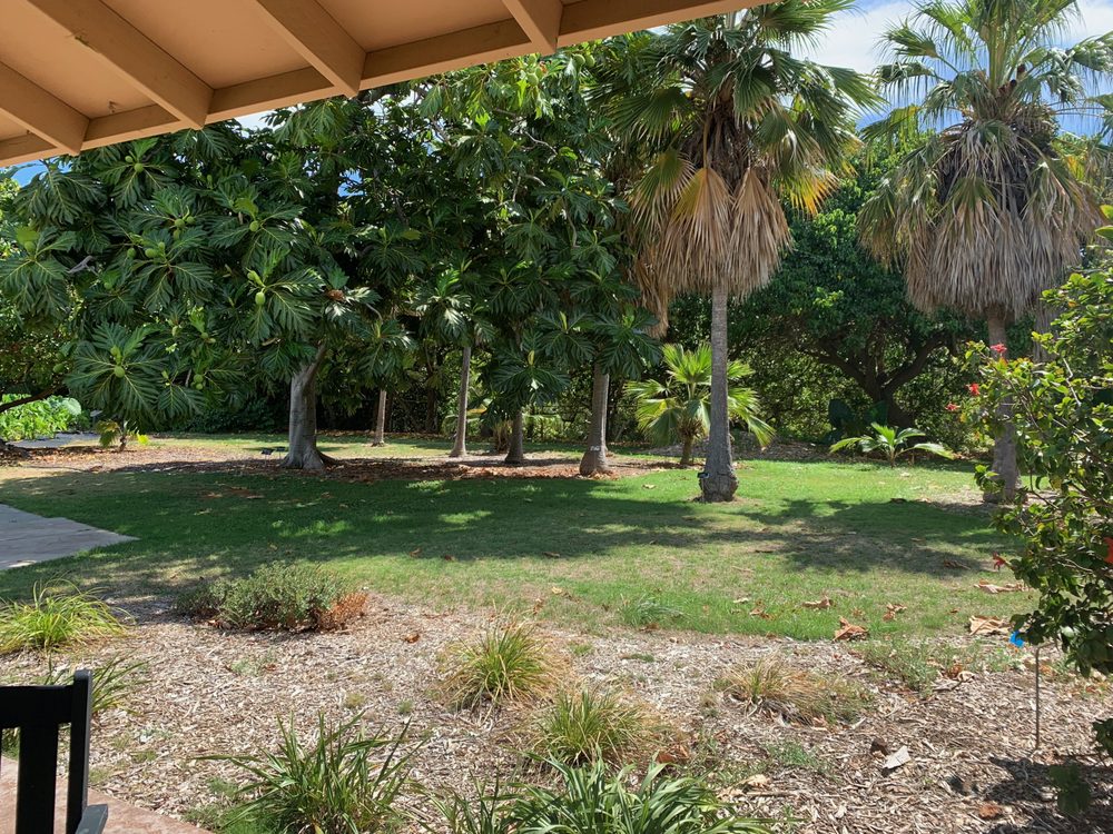 MAUI NUI BOTANICAL GARDENS 61 Photos & 11 Reviews Botanical Gardens