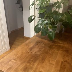 Hayes Services - After refinishing