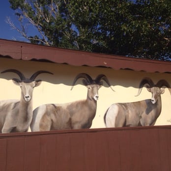 Mt Williamson Motel and Base Camp - Mural on the cabins and theme of art at this motel. The endangered big horn sheep - Hotels Near Me - Independence, California Mt Williamson Motel and Base Camp - Mural on the cabins and theme of art at this motel. The endangered big horn sheep - Hotels Near Me - Independence, California
