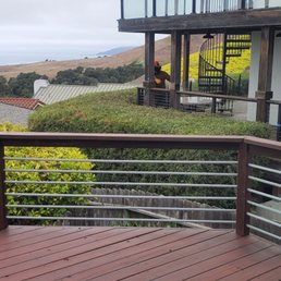See how well the hedge looks. They also clean up very well.