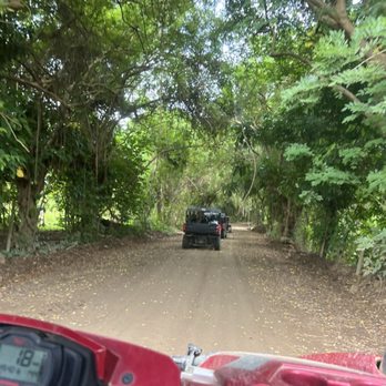 Carabali Rainforest Park - The beginning road - Horseback Riding Near Me - Luquillo, Puerto Rico