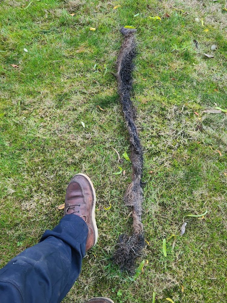 Slide of American Rooter Sewer & Drain Service