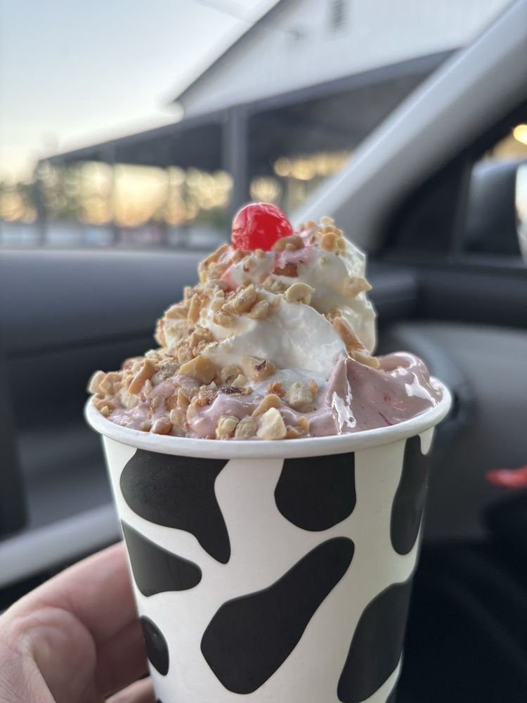 Small Town Scoops Logo