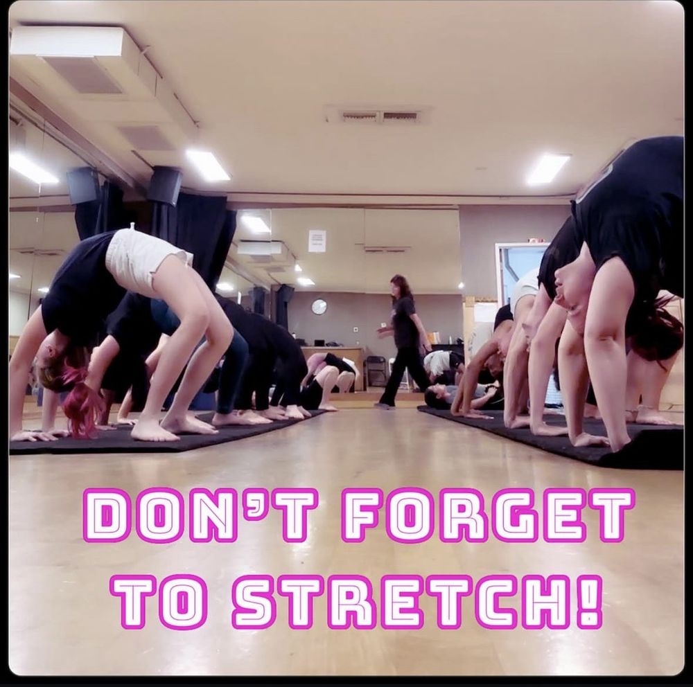 Patsy Metzger Dancers Logo