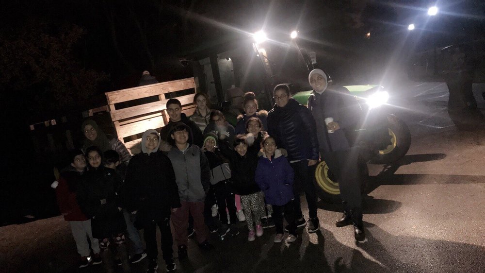 Genius Kiddos - reading tutor in Palos Hills, IL