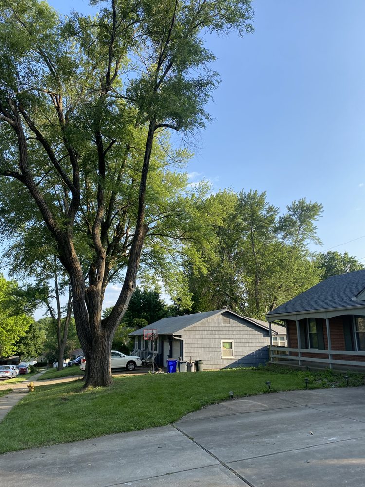 Top Quality Tree & Lawn Service - tree service in Kansas City, MO