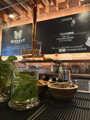 Kingfly Spirits by null