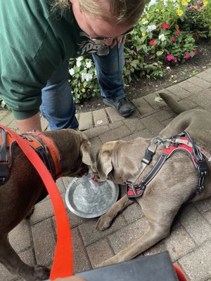 Ice House BBQ by null