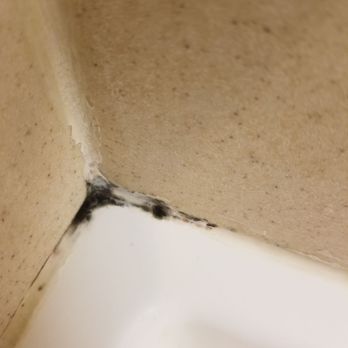 Wisp Resort - Black mold in shower. - Ski Resorts Near Me - McHenry, Maryland