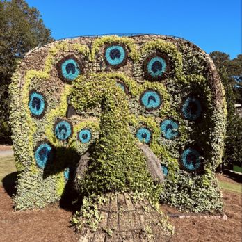 Callaway Resort & Gardens - Peacock Topiary - Venues & Event Spaces Near Me - Pine Mountain, Georgia Callaway Resort & Gardens - Peacock Topiary - Venues & Event Spaces Near Me - Pine Mountain, Georgia