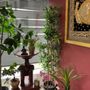 Photo of Sunanta Thai Massage