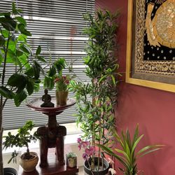 Sunanta Thai Massage