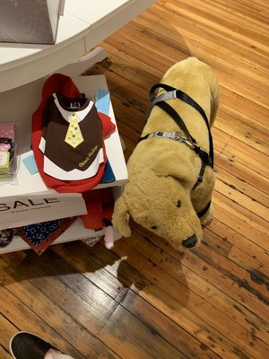 Bella & Lindy Pet Boutique by null