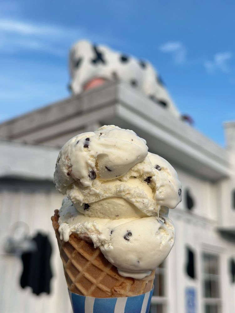 Food from Doolittle's Roadside Cafe & Creamery