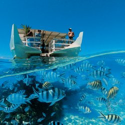 Exquisite Destination Weddings & Honeymoons