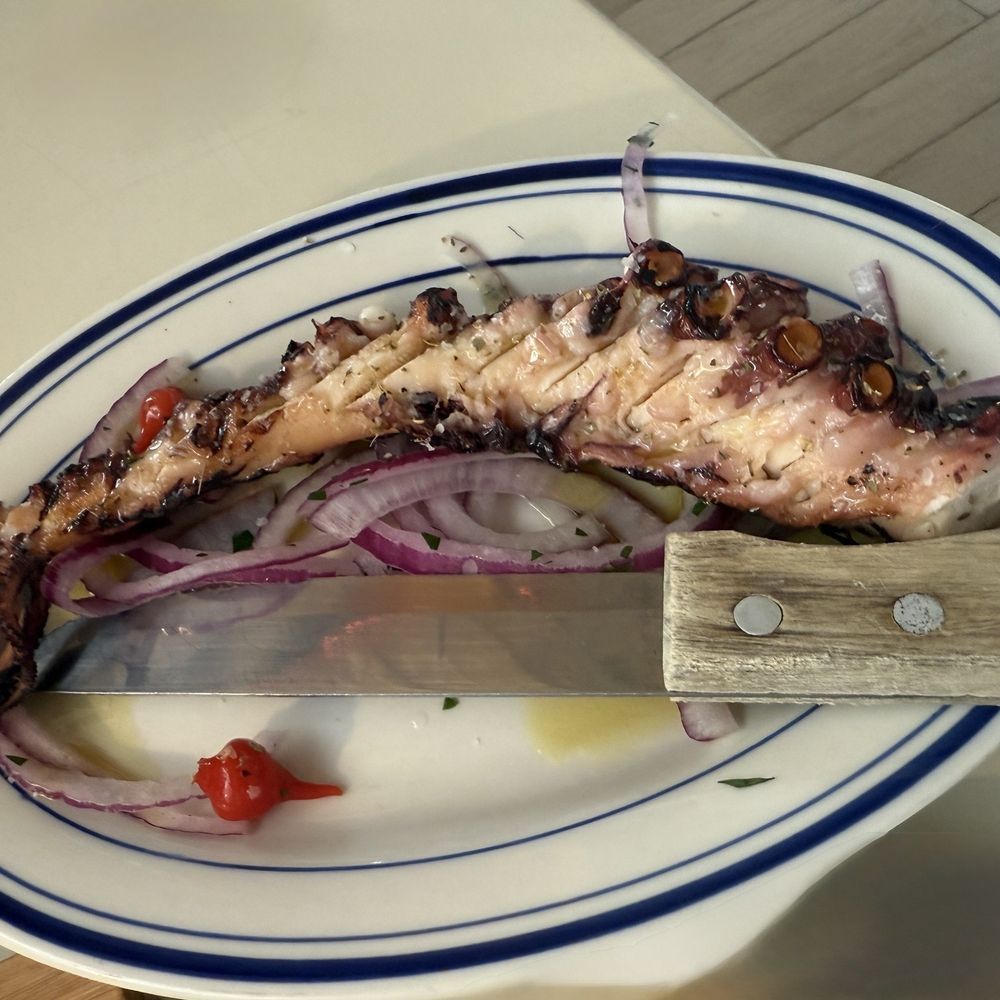 Psaraki - Grilled Octopus - Greek Near Me - Brooklyn, New York Psaraki - Grilled Octopus - Greek Near Me - Brooklyn, New York