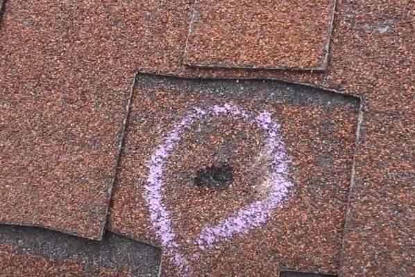 Elite Roofing & SheShedz