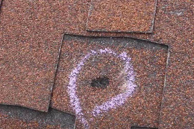 Slide of Elite Roofing & SheShedz