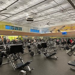 LA Fitness - Weightlifting area