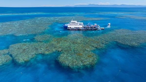 Sunlover Reef Cruises by null