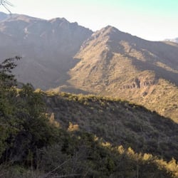 Cerro Provincia - Trekking: Mayor dificultad para llegar a la cumbre.