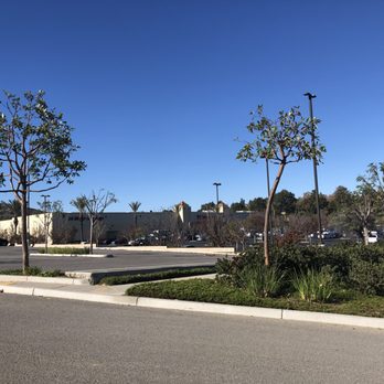 Antonio Tree Services - Tree Services Near Me